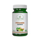 Rudrang Nutri Store Proagen - 400mg